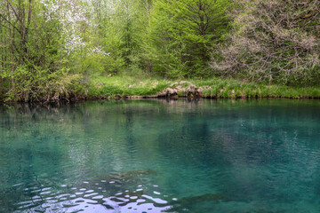 The beautiful turquoise color of the water on Lake Krupajsko in Serbia on a sunny summer day in the forest. National beauty and nature concept