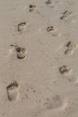 Fototapeta na wymiar Footprints in the Sand on a Beach in The Galapagos Islands