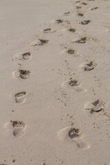 Fototapeta na wymiar Footprints in the Sand, Galapagos Islands, Ecuador