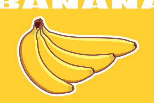 Vector bunch of bananas of different shapes. Four ripe yellow bananas drawn in a flat design.