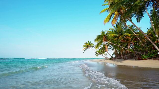 Pure clear sea water and white sand beach. Palm trees and blue sky landscape.