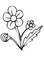 stylized bouquet of daisies 2