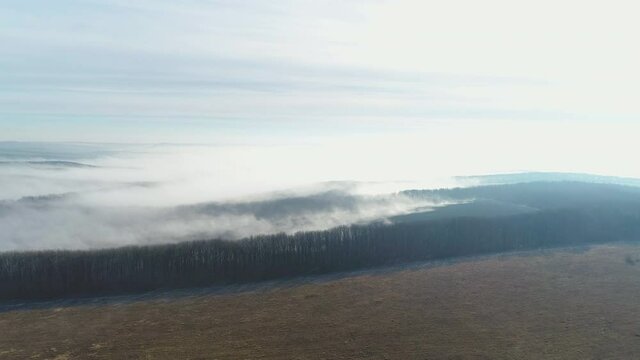 Flying over the forest in the haze