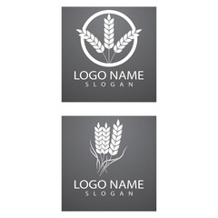 Agriculture wheat Logo Template vector icon design