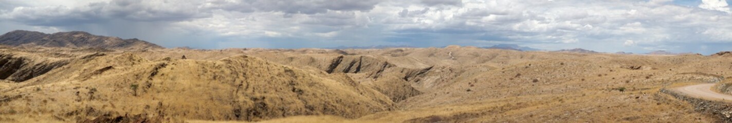 Fototapeta na wymiar Wild arid landscape and mountains in the background in the Kaokoland desert in Namibia (Selective focus)