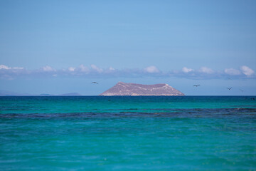 Fototapeta premium Blue Pacific Ocean and Inhabited island with clear blue sky. Galapagos Islands. Ecuador 2015