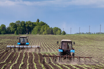 Fototapeta premium field work in agriculture. farmer's tractor harrows the field after planting seeds. tractor and seeder planting crops on a field.