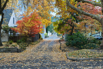 Autumn in a small town in Northern California.