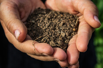 handful of soil