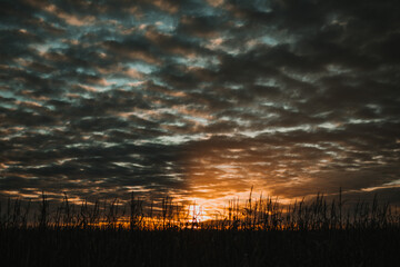 Fototapeta premium sunset