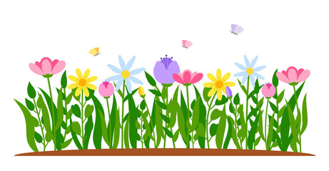 Spring border flowers with butterfly in flat cartoon style. Early flowers growing in grass. Colorful tulip, chamomile. Forest nature springtime landscape design element. Isolated vector illustration
