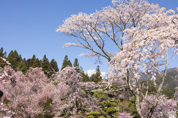 遥かに駒ヶ岳が覗く