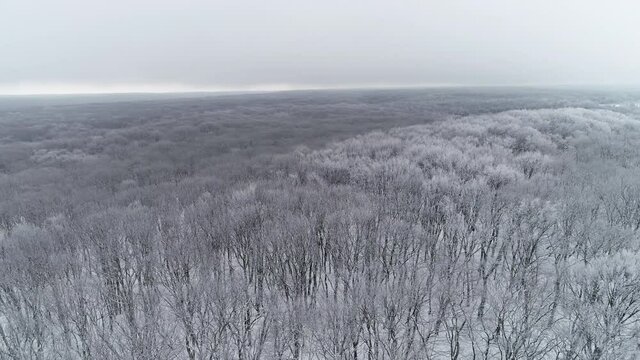 Flight over the forest belt on a frosty day