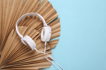 Headphones with dry palm leaves on a blue background. Minimalistic tropical music composition. Copy space. Top view