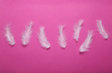 Soft feathers on pink background. Minimalism. Top view. Flat lay