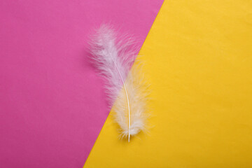 Soft feather on pink yellow background. Minimalism. Top view. Flat lay