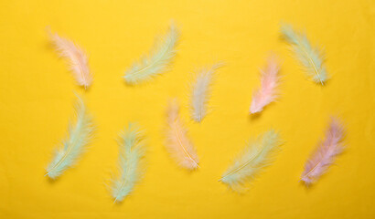 Soft colored feathers on yellow background. Minimalism. Top view. Flat lay