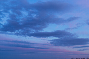 Naklejka premium sunset over the forest. Pink and blue clouds in the sky. watercolour clouds