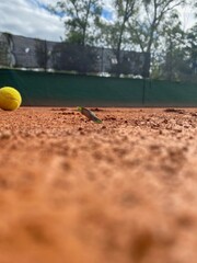 tennis ball on the court
