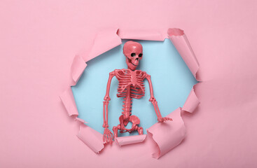 Creative halloween layout. Pink skeleton through torn hole of pink paper. Pastel color trend....