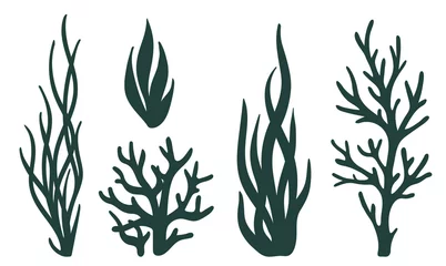 Poster Laser cutting template. Seaweeds. Set of coral reef underwater plants vector isolated on white Aquarium alga set, ocean water plants silhouette. Paper cutout. Stamp. Stencil. © Sviatlana