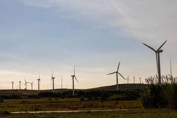 Wind turbine field