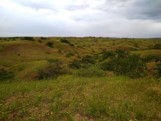 Obraz premium Paisaje verde