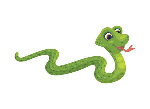 Character of green boa or anaconda snake, flat vector illustration isolated.