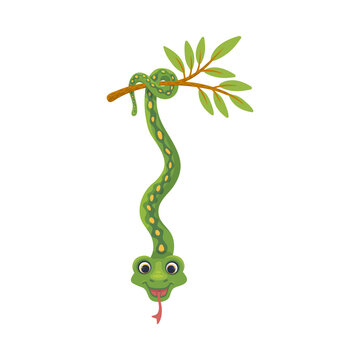 Tropical snake character hanging on its tail, flat vector illustration isolated.