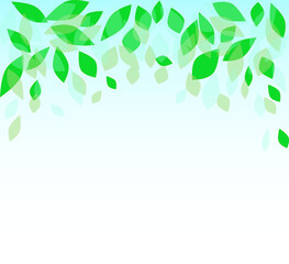 新緑＿植物＿葉っぱ