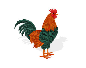 Rooster standing cock logo vector. Chicken poultry morning crowing design. vector illustration