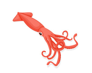 Cuttlefish sea animal design. Pink squid tasty sea food of restaurant. vector illustration