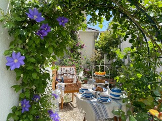 Tea time in the clematis garden	