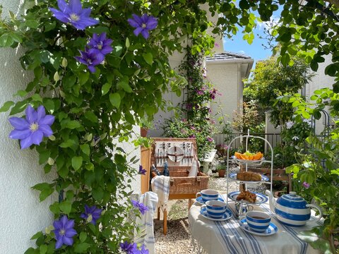Tea time in the clematis garden	