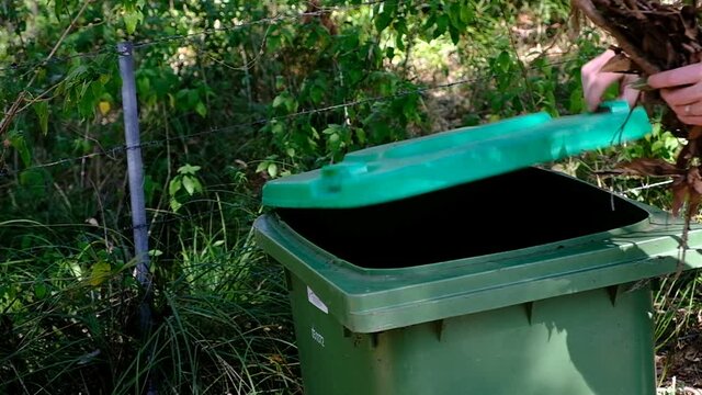 Dropping leaf litter into green bin