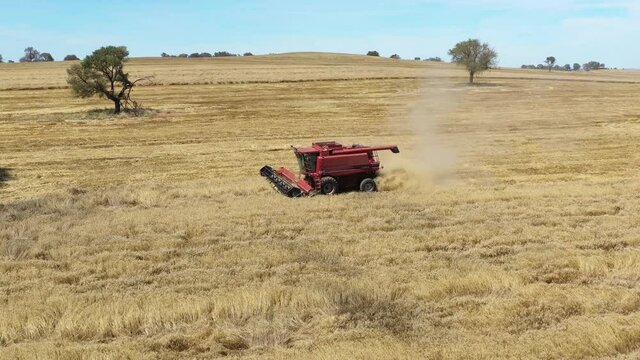 2020 - A farming combine cuts through a short field in Parkes, New South Wales, Australia.