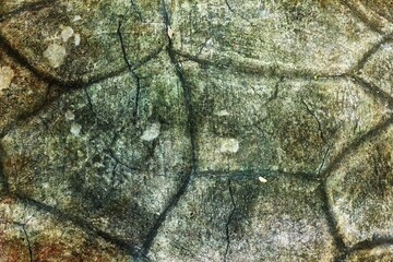 Abstract background texture