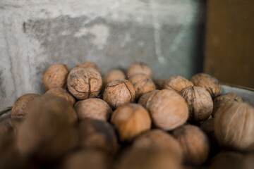 a lot of walnuts are in the bucket