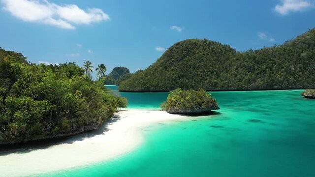 2020 - Excellent shot of palm trees and other thick greenery lining the beaches of the Wayag Islands, Raja Ampat, Indonesia.