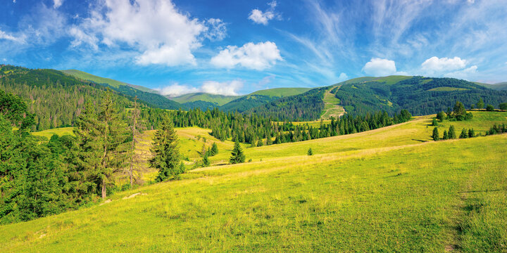 countryside summer landscape. meadows, pastures and forest on the hills. mountainous scenery on a bright summer day. gorgeous cloudscape above the ridge