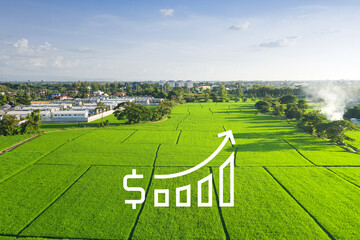 Land for sale and investment in aerial view. Include green field, agriculture farm, residential...