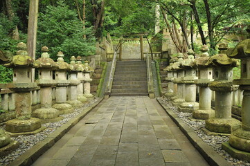 神社の参道と灯籠
