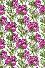 Keuken spatwand met foto Seamless pattern. On a white background, pink and purple carnation flowers. © anna