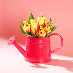 A bouquet of tulips as a gift for March 8, Mother's Day, Valentine's Day. Easter decor. Flowers tulips on a pink background.