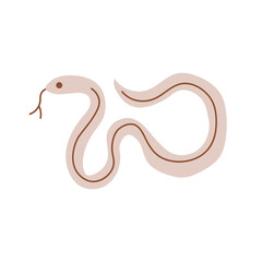 Snake albino isolated on white. Snakes elongated, legless, carnivorous reptiles. Wild West theme. Hand drawn colored trendy Vector isolated illustration.  Wildlife concept. 