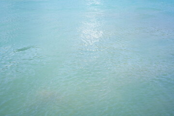 伊豆の海の絶景