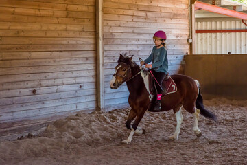 portrait of a young and pretty rider on her pony