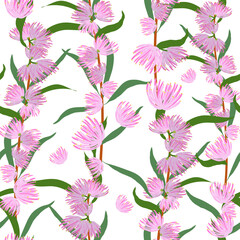 Australian Floral Pattern, Bottle Brush Australian Native Flower repeat pattern  - 431433797