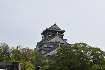 Fototapeta premium 大阪城天守閣