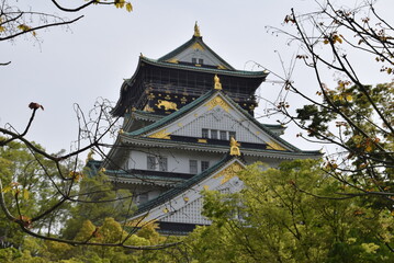 Fototapeta premium 大阪城天守閣